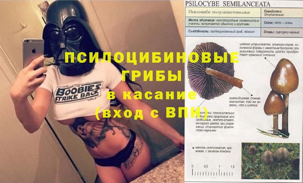 мяу мяу мука Белоозёрский
