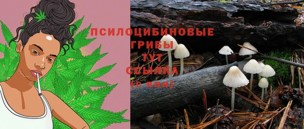 мяу мяу мука Белоозёрский